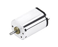 PTFF-031 Precious Metal Brushed Direct Current (DC) Micro Motors PTFF-031 Precious Metal Brushed Direct Current (DC) Micro Motors