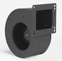 image002--1- image002--1-